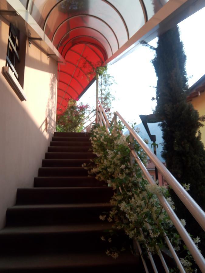 Alloggio Ponte Dei Cavalleggeri Hotell Trento Exteriör bild